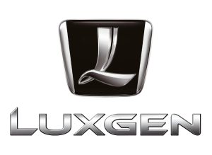 Thảm lót sàn ô tô Luxgen